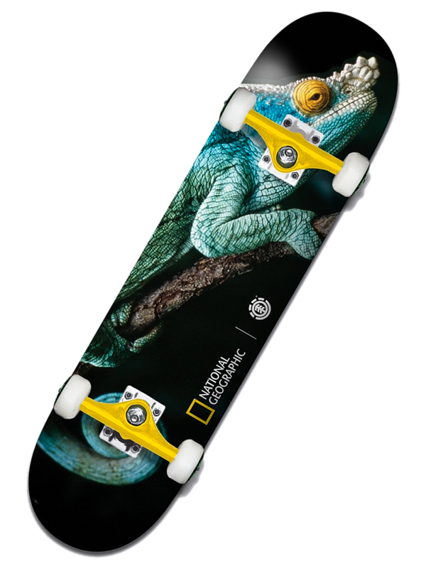 Element NAT GEO IGUANA skateboard komplet - 8